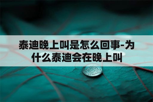 广东省五一劳动奖表彰大会召开 获奖个人一线职工逾六成