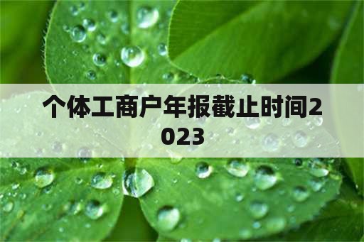 992tv最新入口app下载安装 红杏永久海域入2023站长