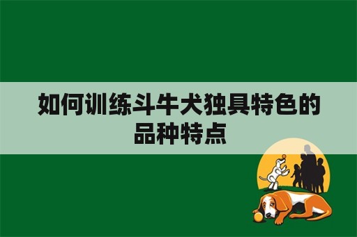 深泽县2024村超足球联赛盛大开幕
